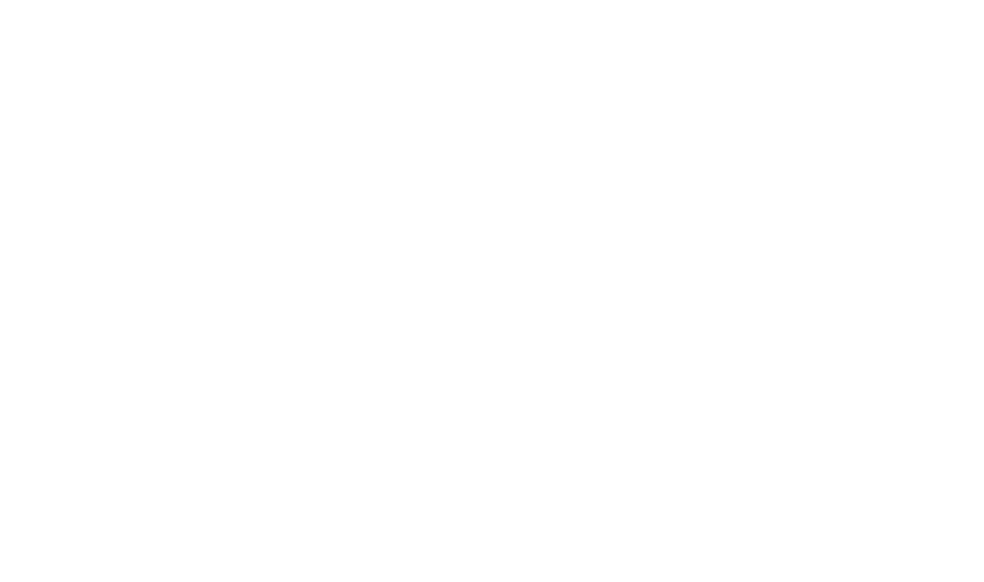 SkyFox Labs